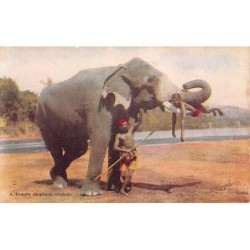 Rare collectable postcards of SRI LANKA. Vintage Postcards of SRI LANKA