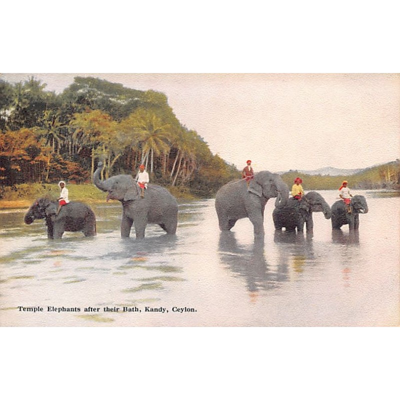 Rare collectable postcards of SRI LANKA. Vintage Postcards of SRI LANKA