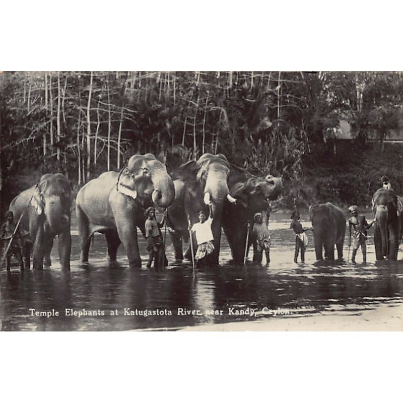 Rare collectable postcards of SRI LANKA. Vintage Postcards of SRI LANKA