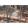 Rare collectable postcards of SRI LANKA. Vintage Postcards of SRI LANKA