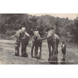 Rare collectable postcards of SRI LANKA. Vintage Postcards of SRI LANKA