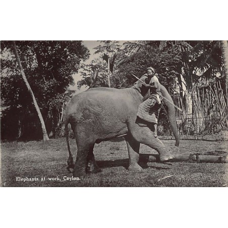 Rare collectable postcards of SRI LANKA. Vintage Postcards of SRI LANKA