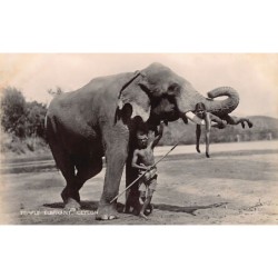 Rare collectable postcards of SRI LANKA. Vintage Postcards of SRI LANKA