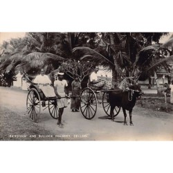 Rare collectable postcards of SRI LANKA. Vintage Postcards of SRI LANKA