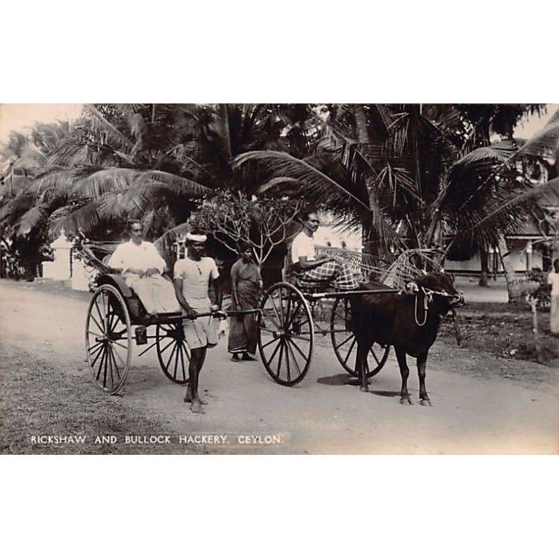 Rare collectable postcards of SRI LANKA. Vintage Postcards of SRI LANKA