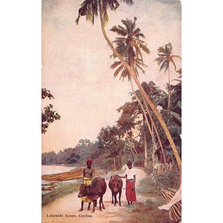 Rare collectable postcards of SRI LANKA. Vintage Postcards of SRI LANKA