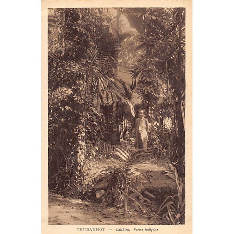 Rare collectable postcards of VIETNAM. Vintage Postcards of VIETNAM