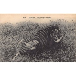 Rare collectable postcards of VIETNAM. Vintage Postcards of VIETNAM