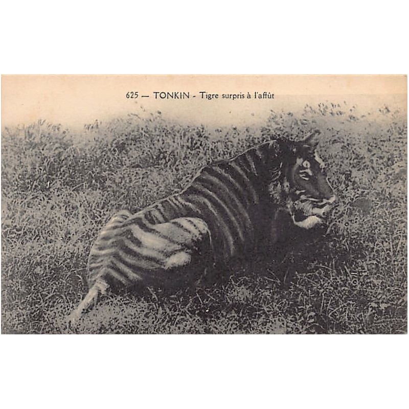 Rare collectable postcards of VIETNAM. Vintage Postcards of VIETNAM