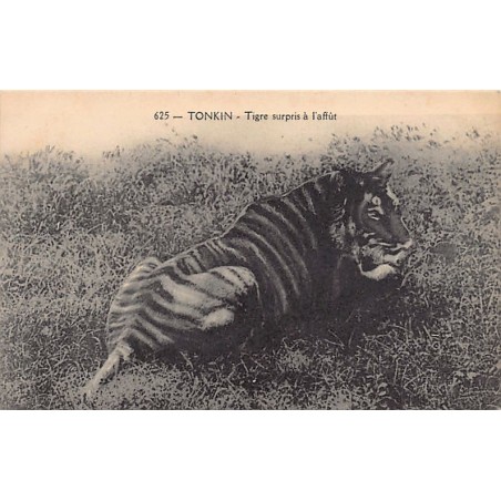 Rare collectable postcards of VIETNAM. Vintage Postcards of VIETNAM