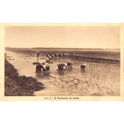 Rare collectable postcards of VIETNAM. Vintage Postcards of VIETNAM