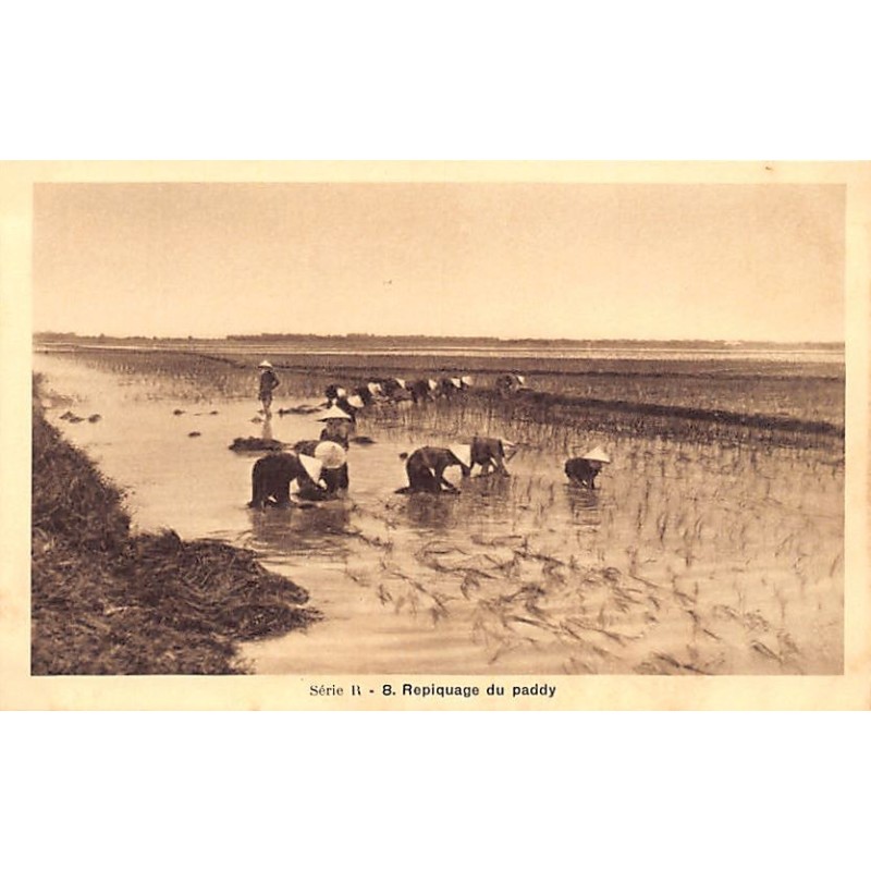 Rare collectable postcards of VIETNAM. Vintage Postcards of VIETNAM