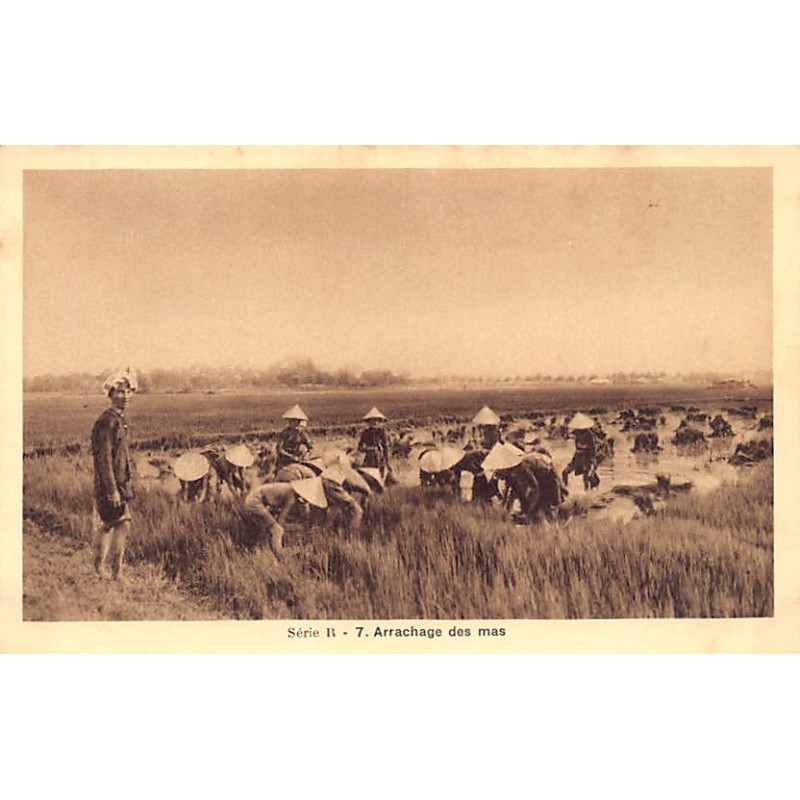 Rare collectable postcards of VIETNAM. Vintage Postcards of VIETNAM