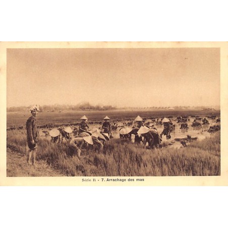 Rare collectable postcards of VIETNAM. Vintage Postcards of VIETNAM