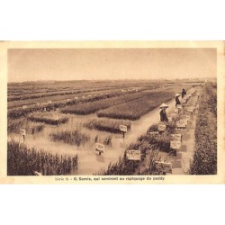 Rare collectable postcards of VIETNAM. Vintage Postcards of VIETNAM