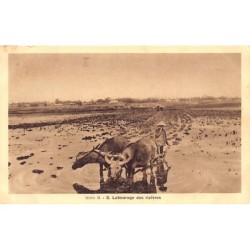 Rare collectable postcards of VIETNAM. Vintage Postcards of VIETNAM