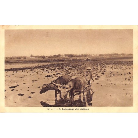 Rare collectable postcards of VIETNAM. Vintage Postcards of VIETNAM