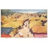 Rare collectable postcards of KOREA. Vintage Postcards of KOREA