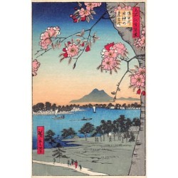 Rare collectable postcards of JAPAN. Vintage Postcards of JAPAN