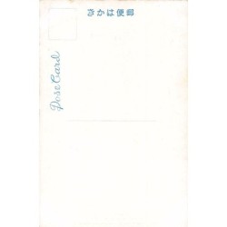 Rare collectable postcards of JAPAN. Vintage Postcards of JAPAN