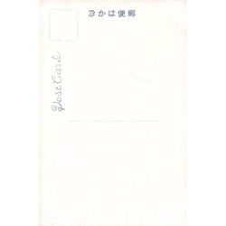 Rare collectable postcards of JAPAN. Vintage Postcards of JAPAN