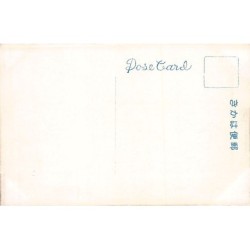 Rare collectable postcards of JAPAN. Vintage Postcards of JAPAN