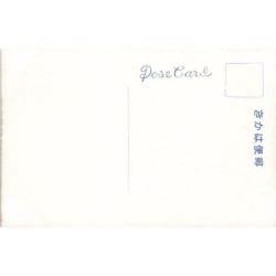 Rare collectable postcards of JAPAN. Vintage Postcards of JAPAN