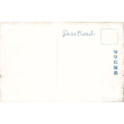 Rare collectable postcards of JAPAN. Vintage Postcards of JAPAN