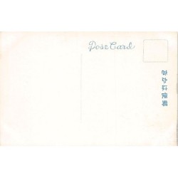 Rare collectable postcards of JAPAN. Vintage Postcards of JAPAN