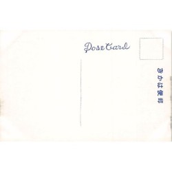 Rare collectable postcards of JAPAN. Vintage Postcards of JAPAN