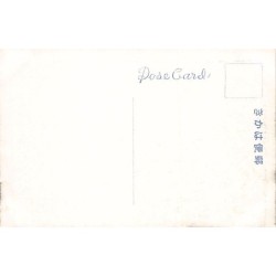 Rare collectable postcards of JAPAN. Vintage Postcards of JAPAN