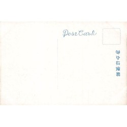 Rare collectable postcards of JAPAN. Vintage Postcards of JAPAN