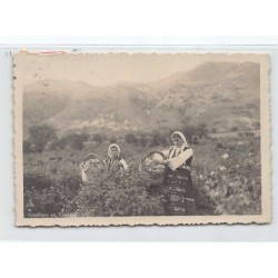 Rare collectable postcards of BULGARIA. Vintage Postcards of BULGARIA