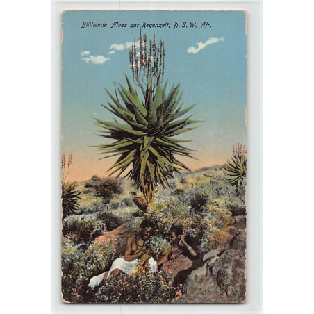 Rare collectable postcards of NAMIBIA. Vintage Postcards of NAMIBIA