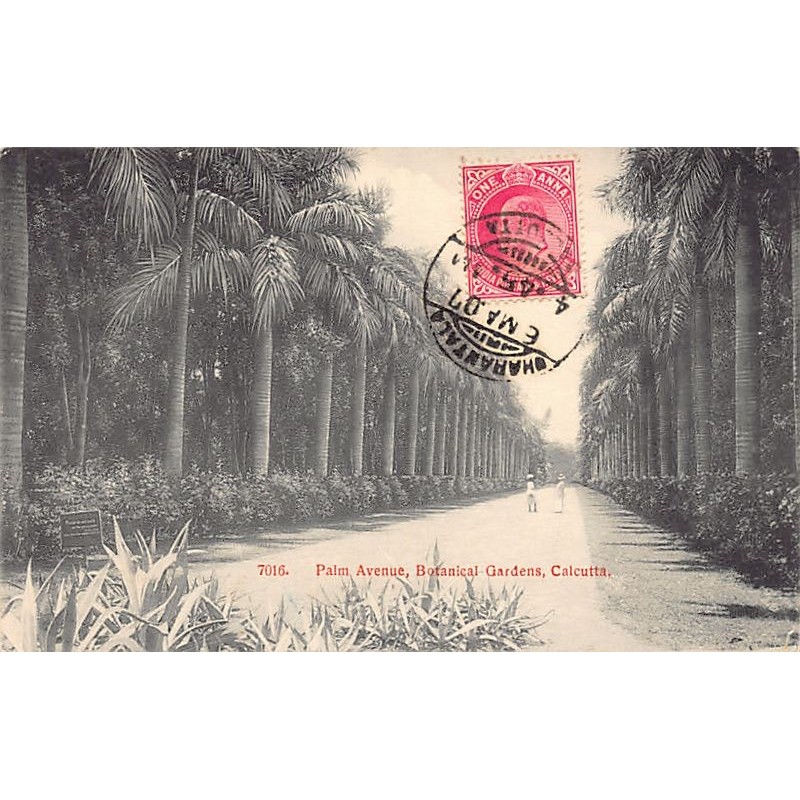 Rare collectable postcards of INDIA. Vintage Postcards of INDIA