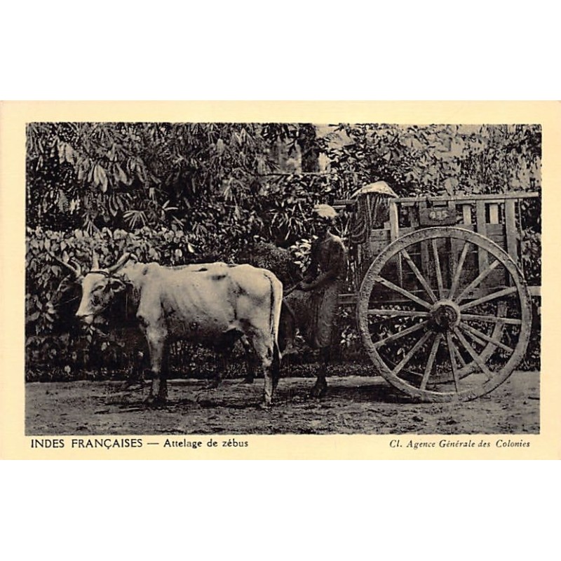 Rare collectable postcards of INDIA. Vintage Postcards of INDIA