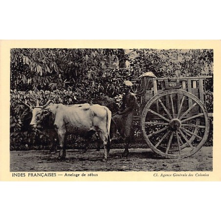 Rare collectable postcards of INDIA. Vintage Postcards of INDIA