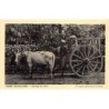 Rare collectable postcards of INDIA. Vintage Postcards of INDIA