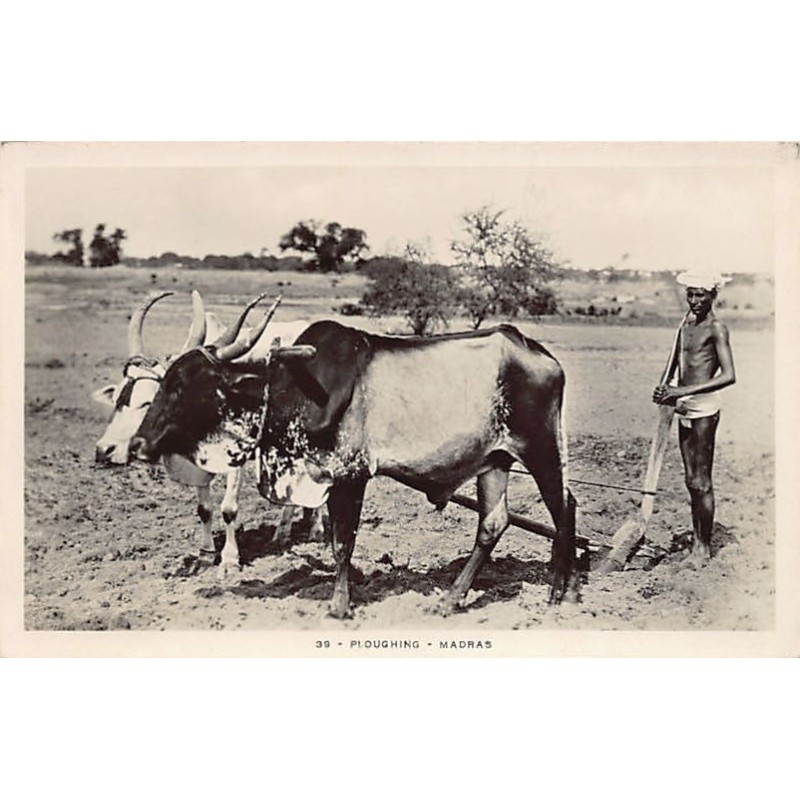 Rare collectable postcards of INDIA. Vintage Postcards of INDIA