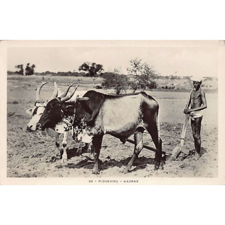 Rare collectable postcards of INDIA. Vintage Postcards of INDIA