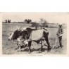 Rare collectable postcards of INDIA. Vintage Postcards of INDIA