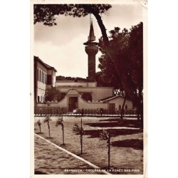 Rare collectable postcards of LEBANON. Vintage Postcards of LEBANON