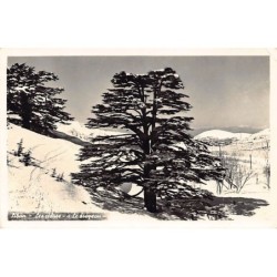 Rare collectable postcards of LEBANON. Vintage Postcards of LEBANON