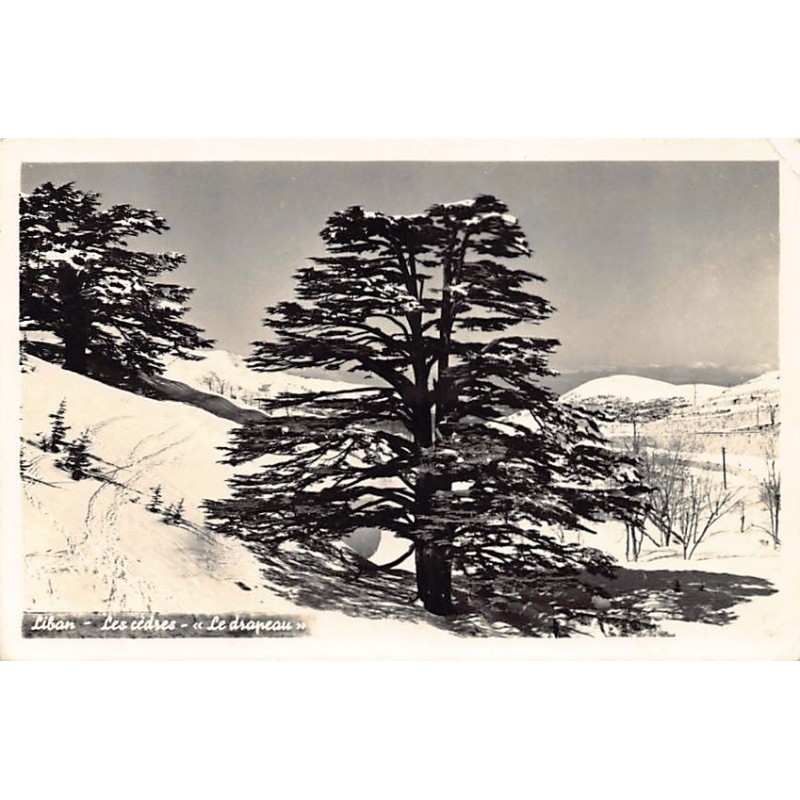Rare collectable postcards of LEBANON. Vintage Postcards of LEBANON