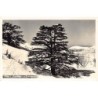 Rare collectable postcards of LEBANON. Vintage Postcards of LEBANON