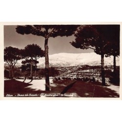 Rare collectable postcards of LEBANON. Vintage Postcards of LEBANON