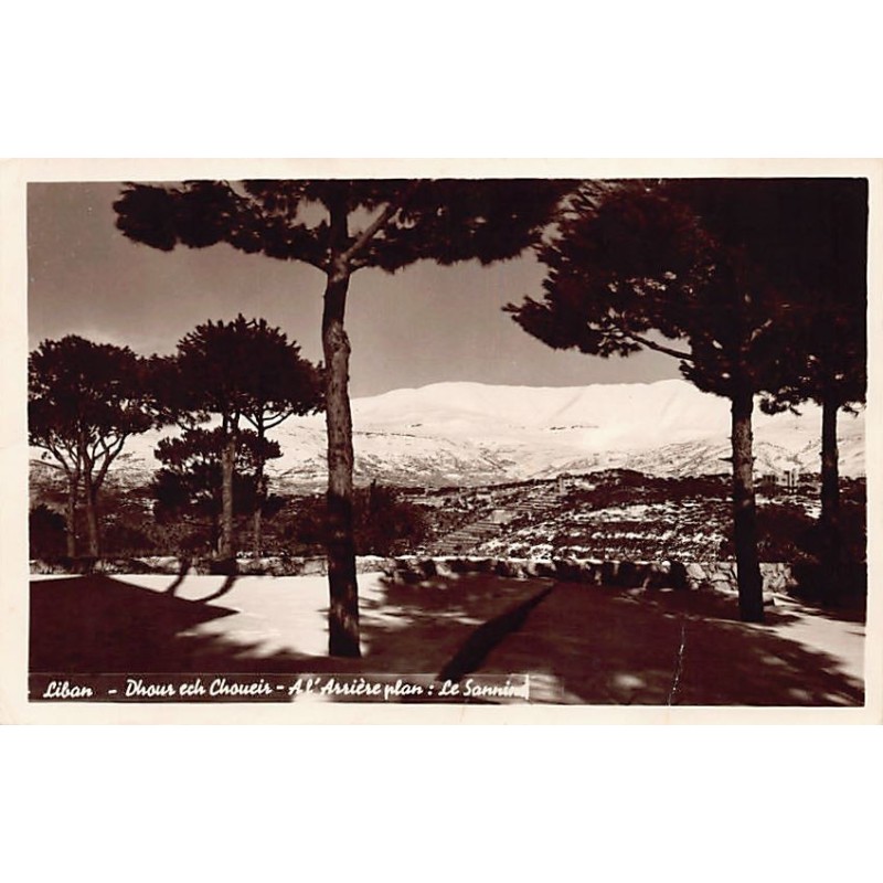 Rare collectable postcards of LEBANON. Vintage Postcards of LEBANON