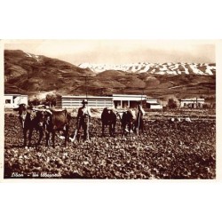 Rare collectable postcards of LEBANON. Vintage Postcards of LEBANON