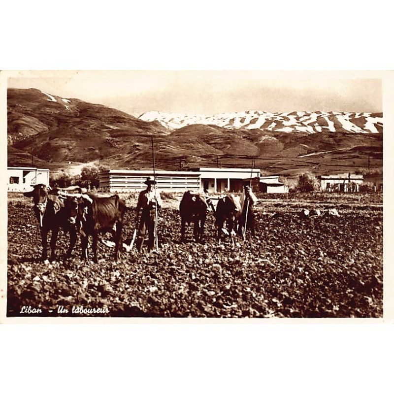 Rare collectable postcards of LEBANON. Vintage Postcards of LEBANON