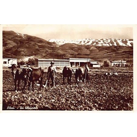 Rare collectable postcards of LEBANON. Vintage Postcards of LEBANON